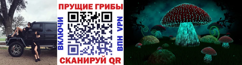 Галлюциногенные грибы GOLDEN TEACHER Зеленодольск